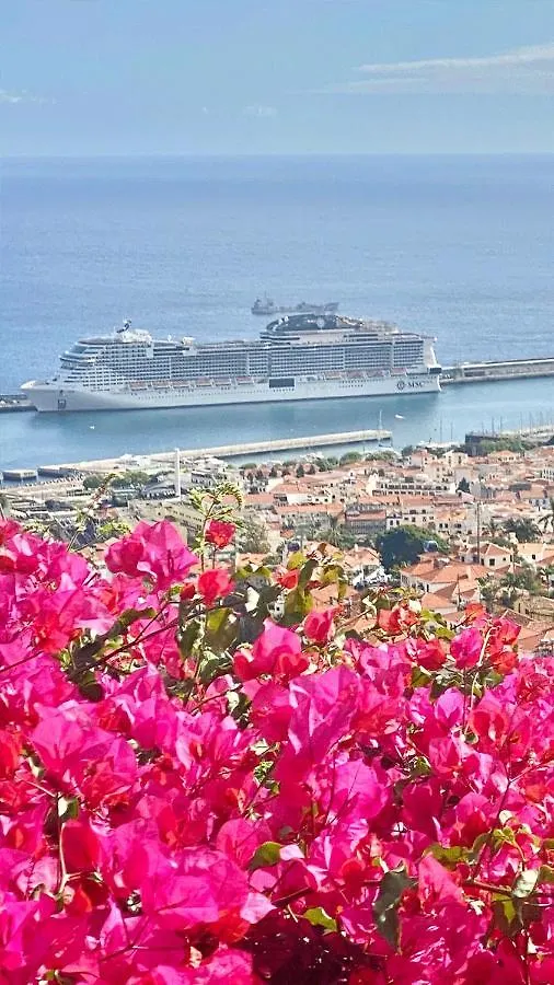 Casa Ideal Para Familias Com Vista Mar Desafogada Funchal