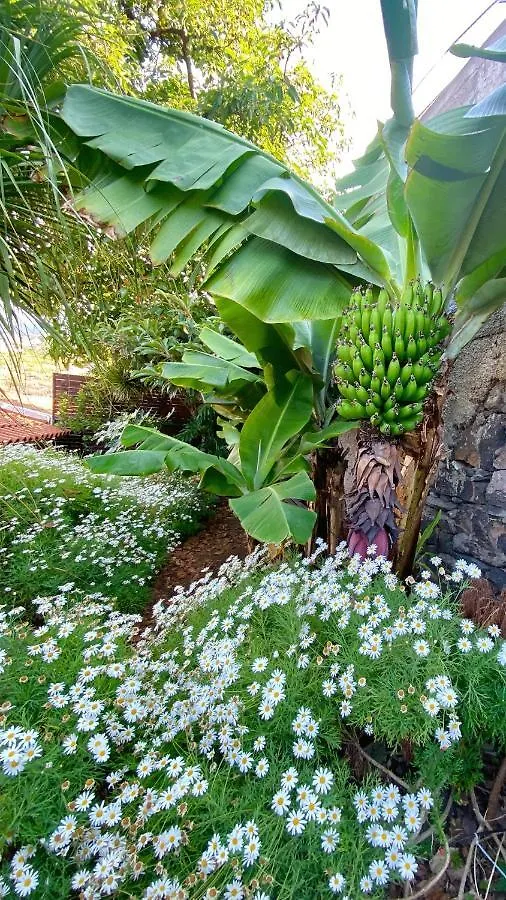 Chalet Casa Ideal Para Familias Com Vista Mar Desafogada Funchal