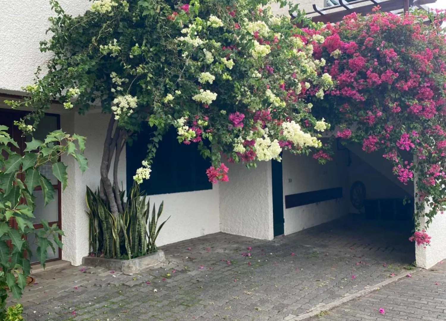 Casa Ideal Para Familias Com Vista Mar Desafogada Funchal